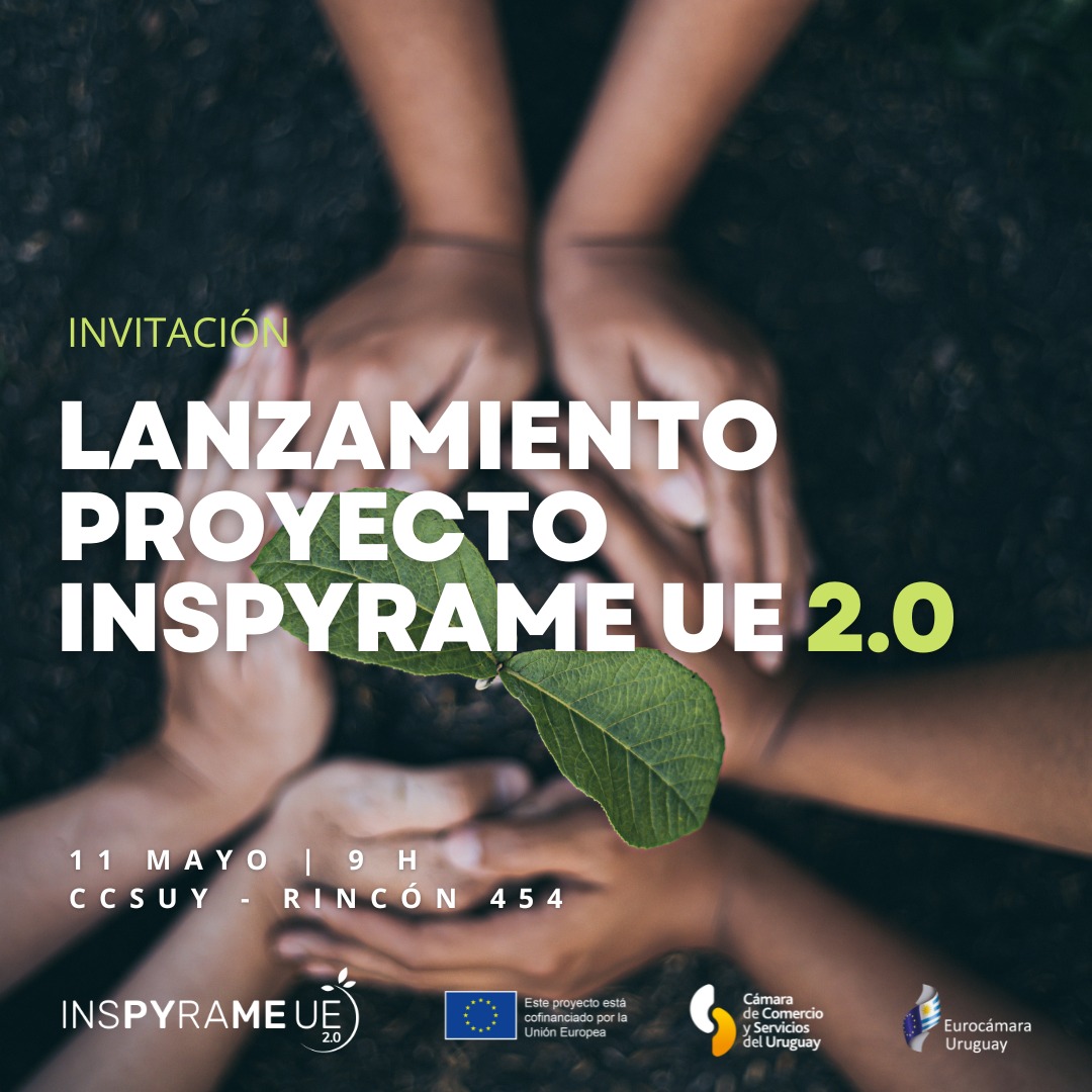 Lanzamiento proyecto Inspyrame UE 2.0
