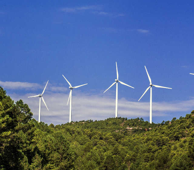 Uruguay y la UE firmarán acuerdo energético.