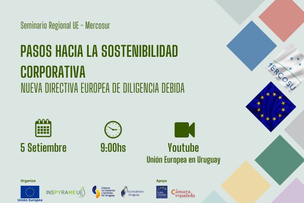 Seminario Regional UE/Mercosur- Pasos hacia la Sostenibilidad Corporativa: Nueva Directiva Europea de Diligencia Debida